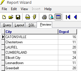 ReportWriter Image