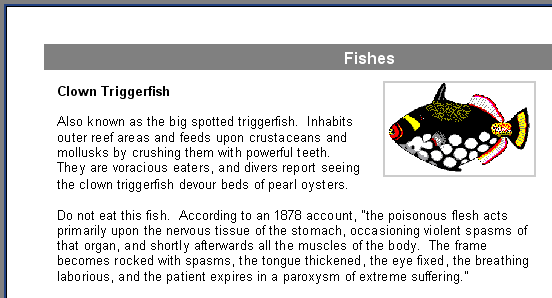 xReport Image