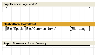 xReport Image