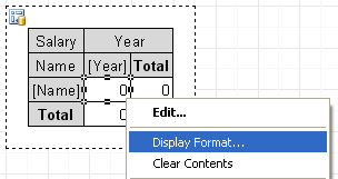 xReport Image