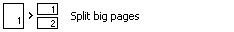 xReport Image